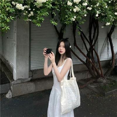 百合绽放